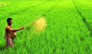 ଖରିଫ ଧାନକିଣା ପାଇଁ ଚାଷୀ ପଞ୍ଜିକରଣ ଅବଧି:ଅଗଷ୍ଟ ୨୨ ଯାଏ ବୃଦ୍ଧି