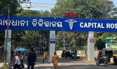 ଡେଙ୍ଗୁ: କ୍ୟାପିଟାଲ ହସ୍ପିଟାଲରେ ଖୋଲିବ ସ୍ଵତନ୍ତ୍ର ଟେଷ୍ଟିଂ ସେଣ୍ଟର