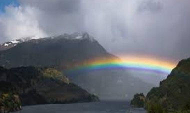 ଇନ୍ଦ୍ରଧନୁରେ କଳା,ଧଳା,ଧୂସର ରଙ୍ଗ ନଥିବା ପଛର ରହସ୍ୟ