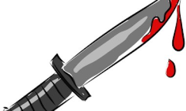 ବିଧାୟିକାଙ୍କୁ ଛୁରା ମାଡ଼