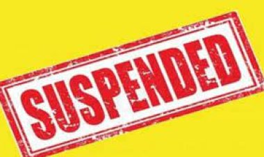 ନକଲି ଶିକ୍ଷକ ପରେ ଏବେ ନକଲି ଅଧ୍ୟାପକ,୨ନିଲମ୍ବିତ