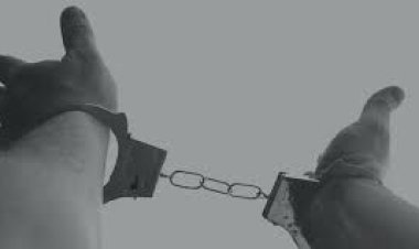 ପ୍ରଫେସରଙ୍କ ନାଁରେ ନିର୍ୟାତନା ଅଭିଯୋଗ ଆଣିଲେ ଅଧ୍ୟାପିକା