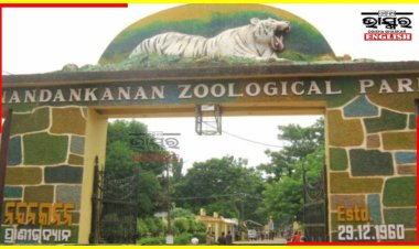 Odisha Nandankanan Zoo starts WhatsApp Ticket Entry