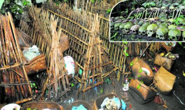 ଶବର ଦୁର୍ଗନ୍ଧକୁ ଦୂର କରିଥାଏ ଗଛର ସୁବାସ