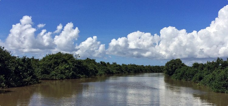 ଖୋଲିଲା ଭିତରକନିକା ଜାତୀୟ ଉଦ୍ୟାନ