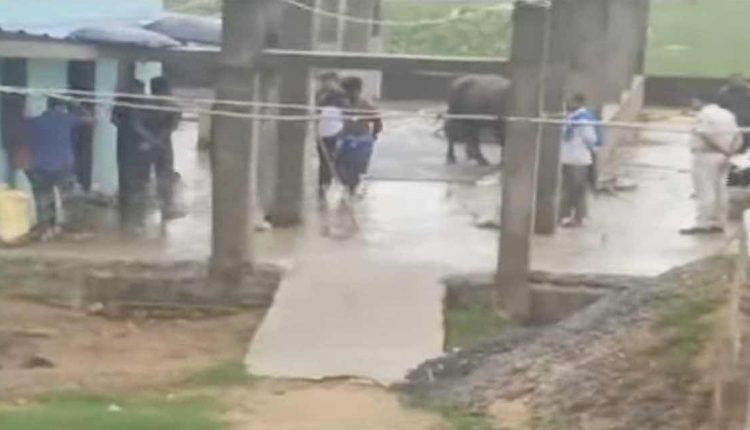 Police Recover 2 Bodies From Dairy Farm In Bhubaneswar Outskirts