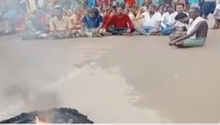 Three killed in elephant attack in Angul village, Road Blockade