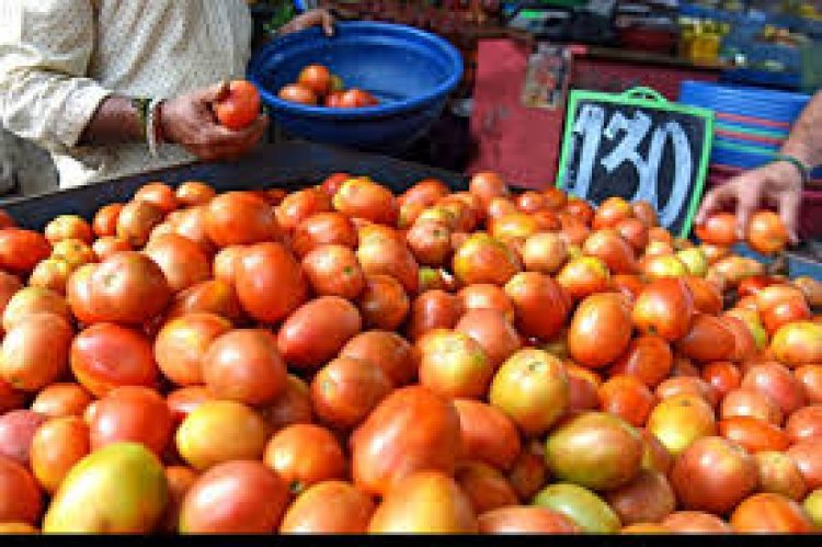 ଟମାଟୋ ଦର କମିଲା