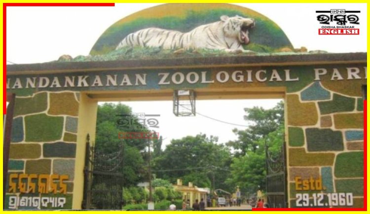 Odisha Nandankanan Zoo starts WhatsApp Ticket Entry