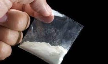 ପିପିଲି ନିକଟରୁ ୧କିଲୋ ୮୦ ଗ୍ରାମ୍ ବ୍ରାଉନସୁଗାର ଜବତ