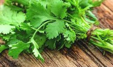 ଚେହେରାର ଚମକ ପାଇଁ ଧନିଆପତ୍ର