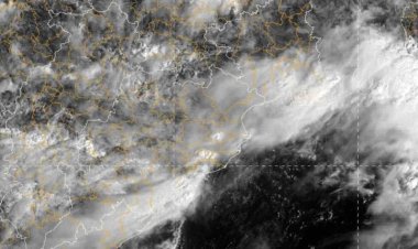 Heavy Rainfall Activity Likely Over Odisha; Yellow Warning Issued