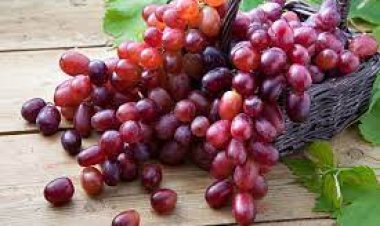 ସ୍ୱାସ୍ଥ୍ୟ ଲାଭଦାୟକ ନାଲି ଅଙ୍ଗୁର