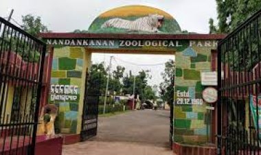 ନନ୍ଦନକାନନ ଆସିଲେ ୪ ଓଟପକ୍ଷୀ