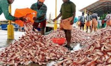 ମାଛ ବଜାର ପାଇଁ ୫୦ ଲକ୍ଷ ଟଙ୍କା