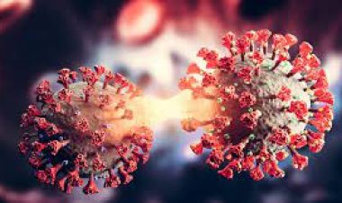 ମୂଷାଠାରେ ଓମିକ୍ରମ ସବ ଭାରିଆଣ୍ଟ ବିଏ.୫ ଚିହ୍ନଟ