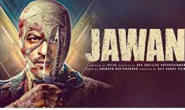 ଜୱାନ୍ ଫିଲ୍ମର ପ୍ରଭାବ: ଓଡ଼ିଆ ସିନେମାକୁ ମିଳୁନି ହଲ୍