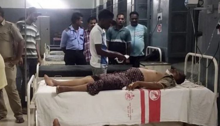 Two Forest Dept Staff Critical In Elephant Attack In Baripada