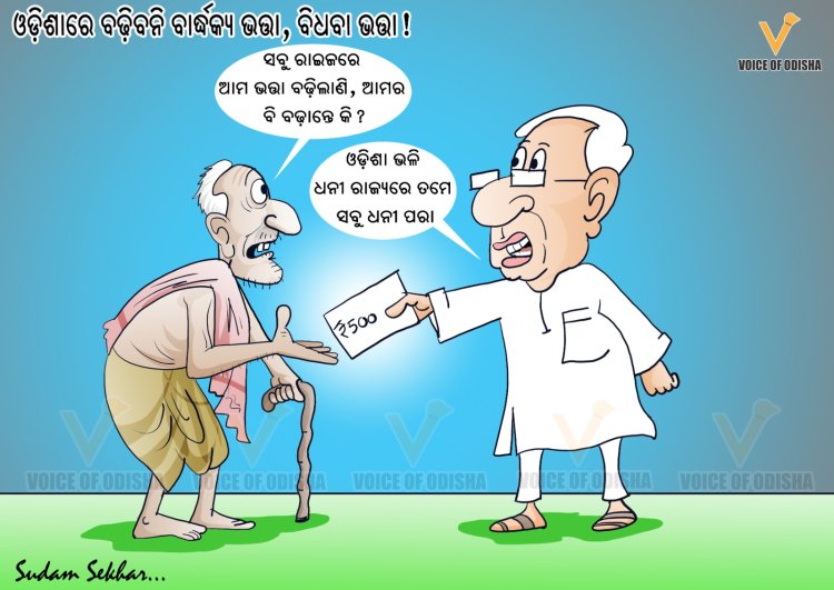 ବଢ଼ିବନି ବାର୍ଦ୍ଧକ୍ୟ ଓ ବିଧବା ଭତ୍ତା