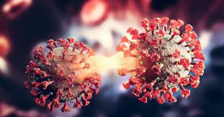 ମୂଷାଠାରେ ଓମିକ୍ରମ ସବ ଭାରିଆଣ୍ଟ ବିଏ.୫ ଚିହ୍ନଟ