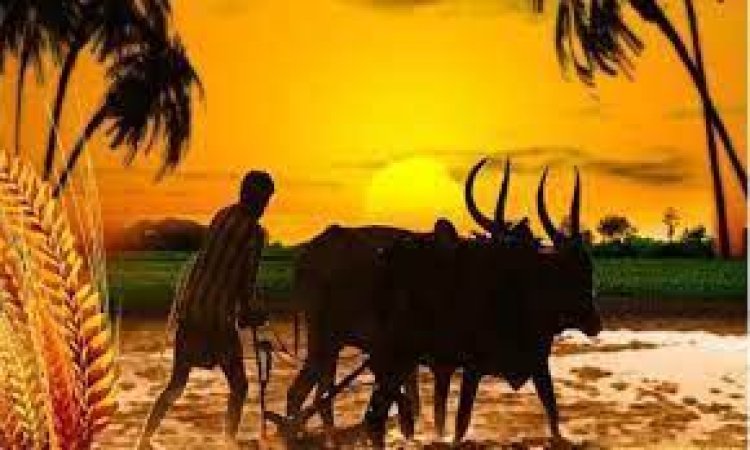 ଓଡିଶା ଚାଷୀଙ୍କ ମାସିକ ଆୟ ୫୧୧୨ ଟଙ୍କା