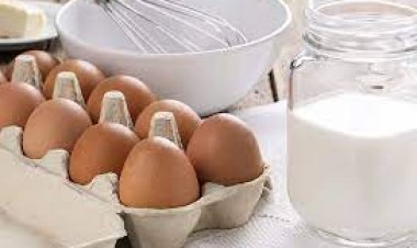 ଅଣ୍ଡା ନା କ୍ଷୀର .. କିଏ ବେଶୀ ଉପକାରୀ?