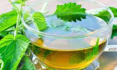 ତୁଳସୀ ଚା’ର କ’ଣ ଉପକାରିତା