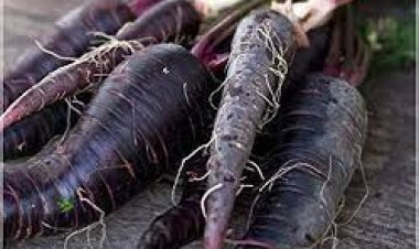 ଖାଆନ୍ତୁ କଳା ଗାଜର