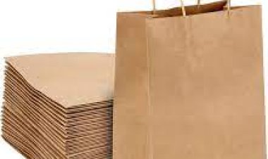 ପରିବେଶ ପାଇଁ କ୍ଷତିକାରକ କାଗଜ ବ୍ୟାଗ