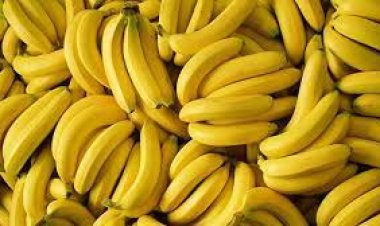 କେଉଁ ସମୟରେ ଖାଇବେ କଦଳୀ