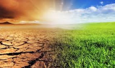 ସମୁଦ୍ର ଆଗକୁ ବଢ଼ୁଛି : ଜଳବାୟୁ ପରିବର୍ତ୍ତନ