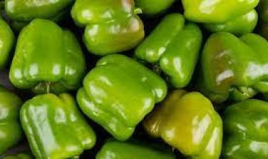 ଓଜନ ହ୍ରାସ କରିବାରେ ଗୁରୁତ୍ୱପୂର୍ଣ୍ଣ ଭୂମିକା ଗ୍ରହଣ କରେ କ୍ୟାପ୍‌ସିକମ୍‌