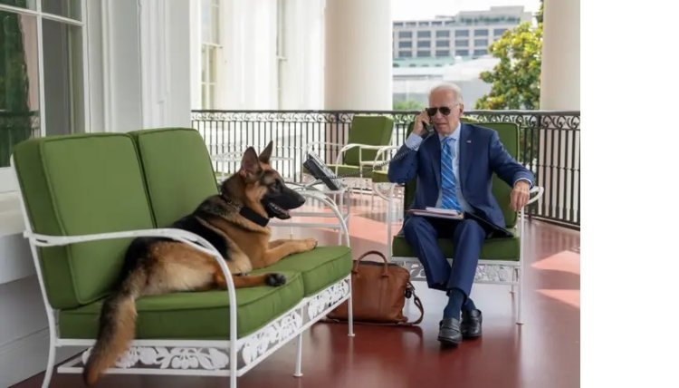 ହ୍ବାଇଟ୍‌ ହାଉସ୍‌ରୁ ବିଦା ହେଲା ବାଇଡେନ୍‌ଙ୍କ କୁକୁର