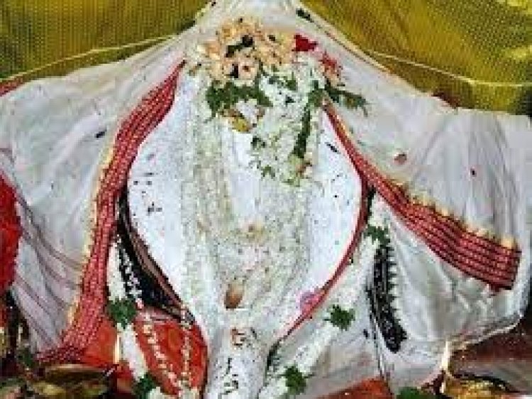 ମହାଳୟାରେ ମା’ ସମଲେଶ୍ୱରୀଙ୍କ ଧବଳମୁଖୀ ବେଶ