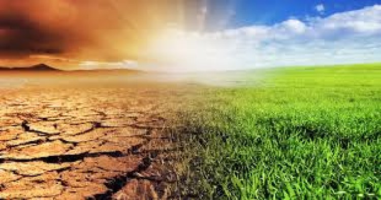 ସମୁଦ୍ର ଆଗକୁ ବଢ଼ୁଛି : ଜଳବାୟୁ ପରିବର୍ତ୍ତନ