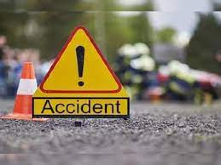 ବିଲ ଭିତରକୁ ପଶିଗଲା ବସ୍‌; ୧୪ ଆହତ