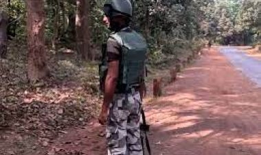 ଛତିଶଗଡ଼ରେ ନିର୍ବାଚନୀ ହିଂସା :ଆଇଇଡି ବିସ୍ଫୋରଣ କଲେ ନକ୍ସଲ ଯବାନ ଗୁରୁତର 