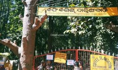 ପ୍ରକୃତିର ରାଣୀ ଦାରିଙ୍ଗବାଡ଼ି