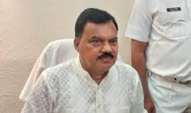 ଇସ୍ତଫା ଦେଲେ ଉପବାଚସ୍ପତି