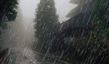 ବାତ୍ୟା ନେଇ ଏହା କହିଲେ ଆଇଏମଡି ଡିଜି