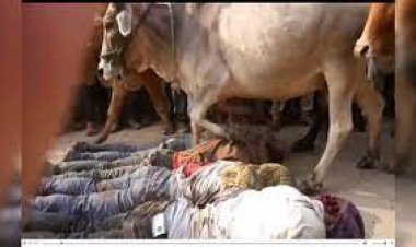 ଶ୍ରଦ୍ଧାଳୁଙ୍କ ଉପରେ ଗୋରୁଗାଈ ଚଢ଼ାଯିବାର ଏକ ନିଆରା ପରମ୍ପରା