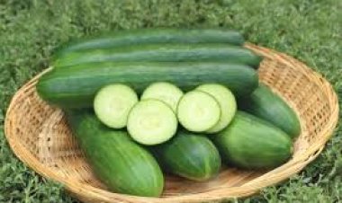 ରାତିରେ କାକୁଡି ଖାଇବା ଅନୁଚିତ