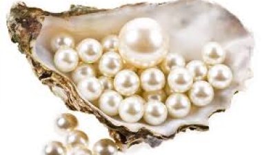 ରାଶି ଅନୁଯାୟୀ ମୋତି ଧାରଣ