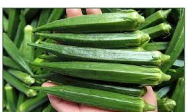 ମଧୁମେହକୁ ନିୟନ୍ତ୍ରଣ କରେ ଭେଣ୍ଡି