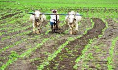 ୧୫ କୋଟି ଚାଷୀଙ୍କ ଉପରେ ୨୧ ଲକ୍ଷ କୋଟିର ଋଣଭାର