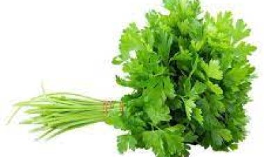 ଧନିଆ ପତ୍ର ଦୂର କରିବ ଏହି ୪ଟି ଶାରୀରିକ ସମସ୍ୟା