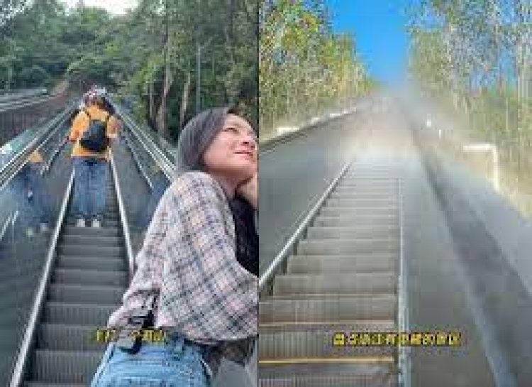 ପର୍ବତମାଳାର ମନୋରମ ଦୃଶ୍ୟ ଉପଭୋଗ କରିବା ଲାଗି ଏସ୍କାଲେଟର