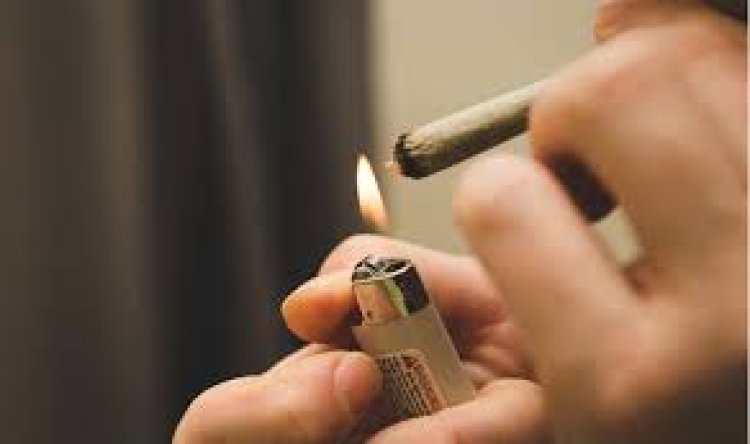 ହୃଦ୍‌ଘାତ ଆଶଙ୍କା ବଢ଼ାଏ ଗଞ୍ଜେଇ