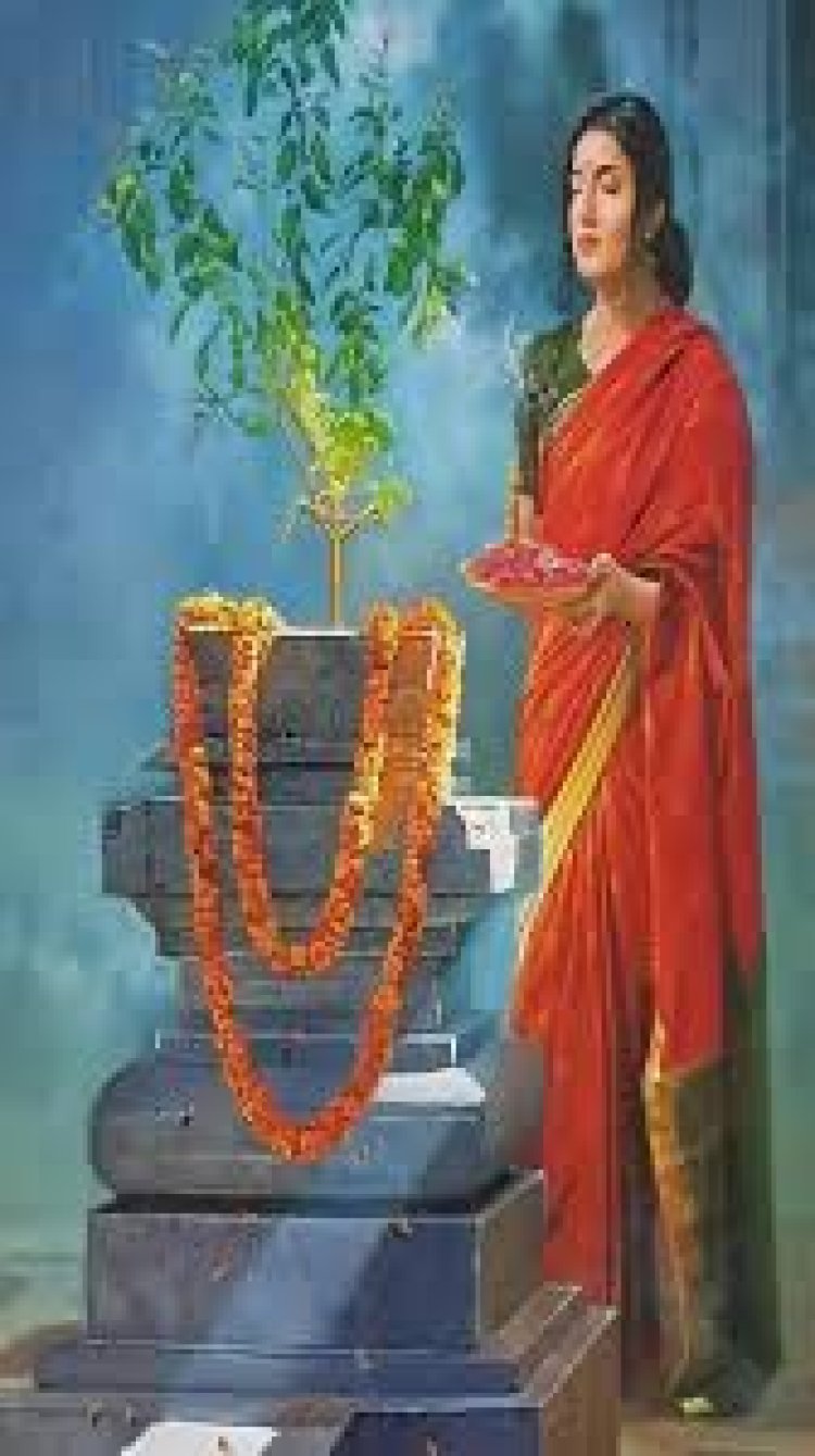 ବୈବାହିକ ଜୀବନ ସୁଖମୟ ହେବା ସହ ପରିବାରରେ ଶାନ୍ତି ବଜାୟ ରହିଥାଏ