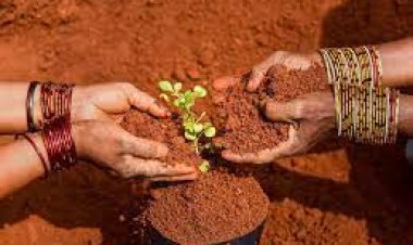 ବିଶ୍ବ ମୃତ୍ତିକା ଦିବସ ଆଜି